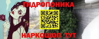 ешки Славгород