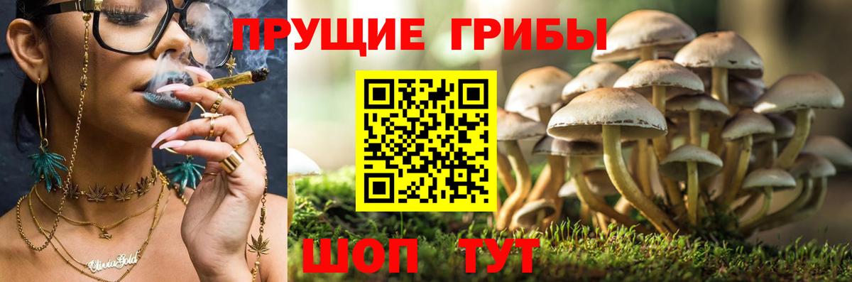 Галлюциногенные грибы Magic Shrooms Нефтекумск