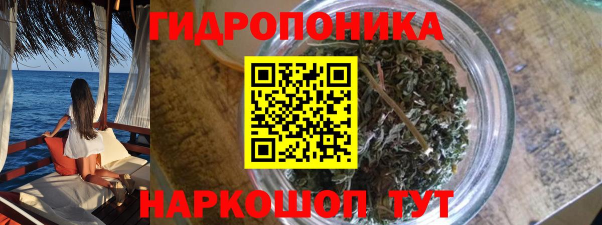 Шишки марихуана сатива  Канабис индика  Вход с VPN  Бошки Шишки Amnesia  Нефтекумск  Шишки марихуана ГИДРОПОН 